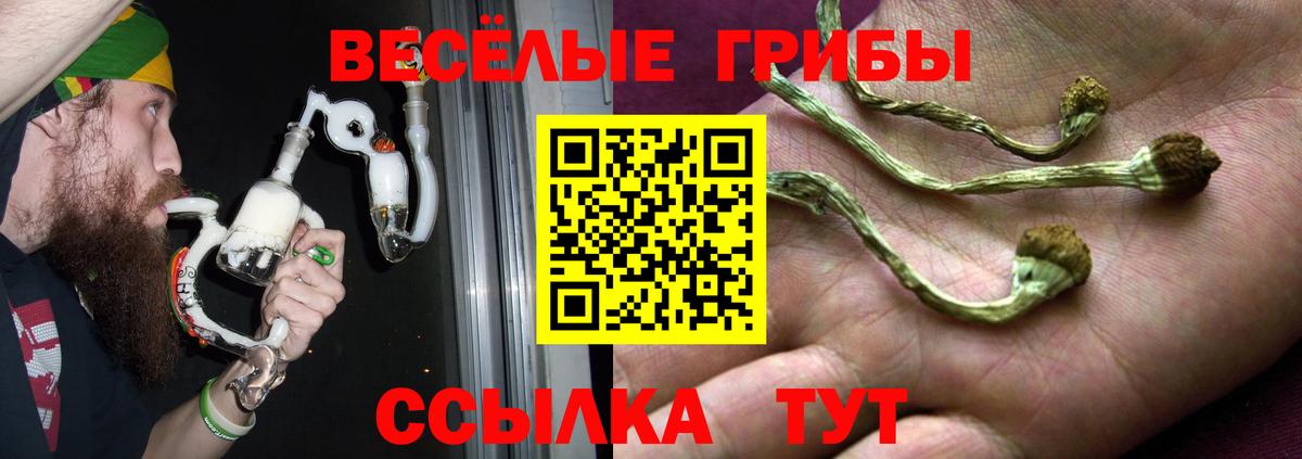 Галлюциногенные грибы мицелий  Вход с VPN  Калининград 